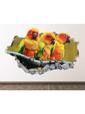 Kanvassepetinet Full Hd Baskı 3D Modern Duvar Sticker