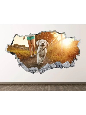 Kanvassepetinet Full Hd Baskı 3D Modern Duvar Sticker