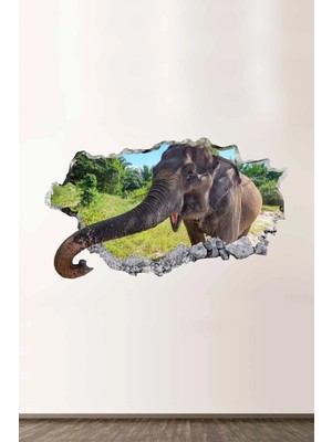 Kanvassepetinet Yavru Fil Full Hd Modern Duvar Sticker