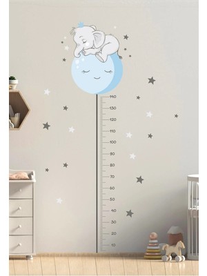 Kanvassepetinet Renkli Mavi Filli Boy Ölçer Duvar Sticker Seti