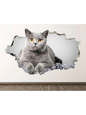 Kanvassepetinet Sevimli Kedicikler Full Hd Baskı 3D Çocuk Odası Duvar Sticker