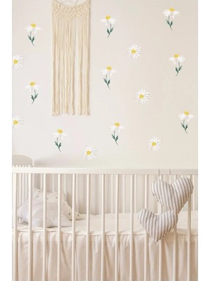 Kanvassepetinet Uçan Papatya Duvar Sticker Set Renkli