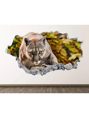 Kanvassepetinet Full Hd Baskı 3D Modern Duvar Sticker