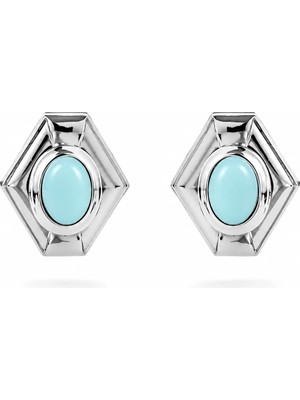 Venüs Design Çelik Agata Küpe