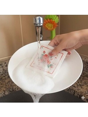 Nomikase Suda Büyüyen Sünger - Eğlenceli ve Dekoratif Bitki