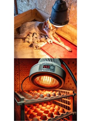 Gees Global (6 Adet) 250W Kızılötesi Isıtıcılı Hayvan Isıtma ve Kuluçka Lambası (Kırmızı Işık) E2