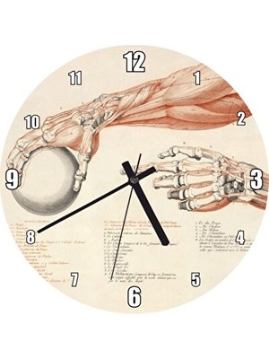 Nomikase Insan Anatomisi El ve Kol Görseli Duvar Saati, 30X30 cm