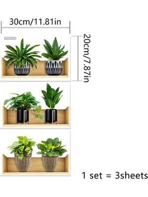 Kaufhier Raflı Bitki Tasarımlı Yapışkanlı Sticker 20*30 cm 3lü Set