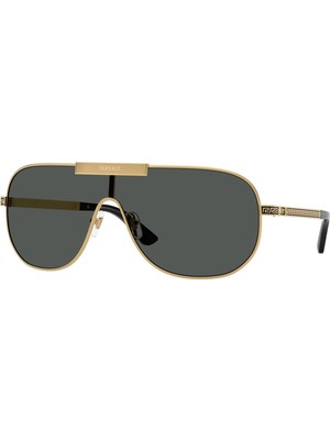 Versace 2293 100287 40 Erkek Güneş Gözlüğü