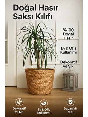 Nomikase Dekoratif Hasır Örme Sepet ile Doğal Şıklık