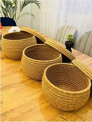 Nomikase Set Halinde Kapaklı Sepet, Çok Amaçlı Saklama ve Düzenleme