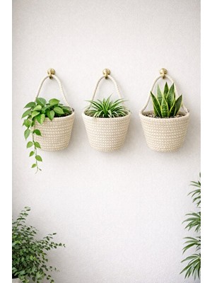 Maison Luré Mini Saksılık ve Organizer Seti - 12X10 Cm, 3'lü Paket