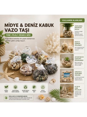 Ronanna Buğz Dekoratif Vazo Taşı - Midye ve Deniz Kabuğu - Fileli Renkli Mix