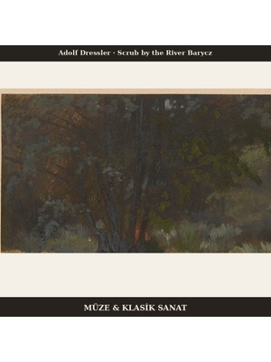 Michu Adolf Dressler – Scrub By The River Barycz 1850 Poster, Manzara Duvar Tablosu Çerçevesiz