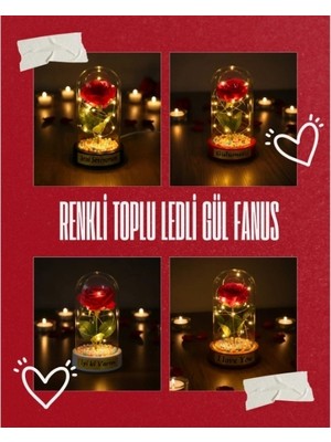 Ronanna Buğz Renkli Toplu Ledli Gül Fanus