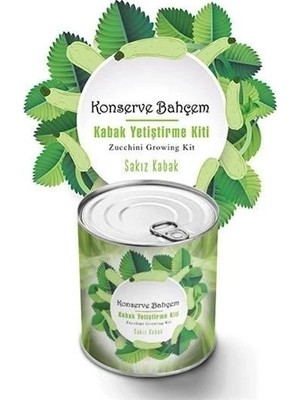 Ronanna Buğz Konserve Bahçem Evde Konservede Sakız Kabak Yetiştirme Kiti