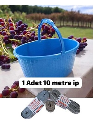 Vaelmont Pratik Plastik Meyve Sepeti ile Balkon ve Bakkal Düzeni