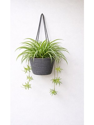 Orvessa Dekoratif Çiçek Sepeti, 20X18 cm Saksı ve Bitki Organizeri
