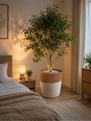 Orvessa Krem Hasır Saksı ve Jüt Saksılık, Doğal Dekoratif Çözüm Sepet