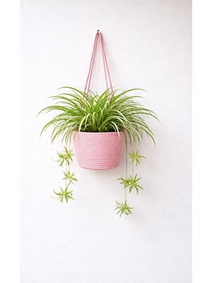 Orvessa Dekoratif Çiçek Sepeti, Saksı ve Bitki Düzenleyici 20X18 cm