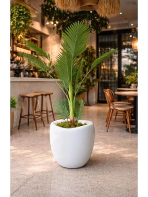 Aesco Plastik Modern Saksı, Iç ve Dış Mekan, 42X45 Cm, Beyaz, Yuvarlak, 25.5 L