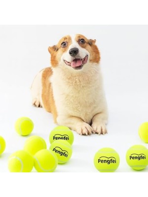 Aesco Köpek Oyuncağı Tenis Topu 2'li Büyük Boy – Dayanıklı Kauçuk Iç Yapı, Diş Dostu Yumuşak Keçe Kaplama, Suya Dayanıklı, Hafif ve Esnek Yapı – Küçük ve Orta Irk Köpekler Için Getir-Oyunu Topu