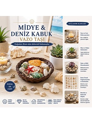 Orvessa Renkli Ahşap Sepet, Deniz Kabukları ve Taş Detaylarıyla Şık Tasarım