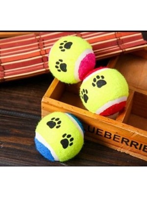 Aesco At Getir Köpek Eğitim Topu