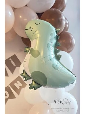 Aesco Retro Yeşil Dinozor Folyo Balon Retro Renkler Dinazor Şekilli Balon 59X49 cm