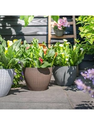 Aesco Nanda Gri Desenli Plastik Saksı Çap 22CM Yükseklik 17CM