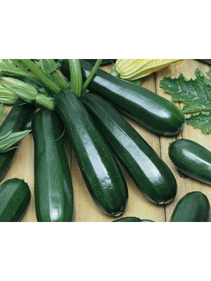 Aesco Doğal Sofralık Kolsuz Kara Kabak Tohumu