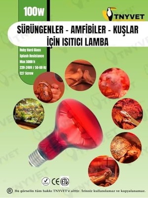 Aesco 100 Watt Kızılötesi/kırmızı Işık Isıtıcı Lambalar Sürüngenler, Amfibiler ve Kuşlar Için          [enerji Sınıfı A]