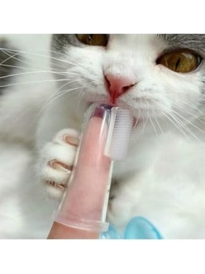 Aesco Kedi Köpek Parmak Diş Fırçası Kutulu Evcil Hayvan Diş Fırçası