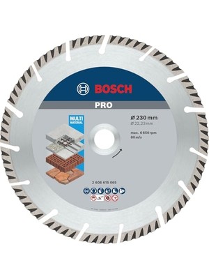 Aesco Bosch Professional Accessories Elmas Kesme ve Delme Aksesuarları, Disk, Gri, 1 Adet