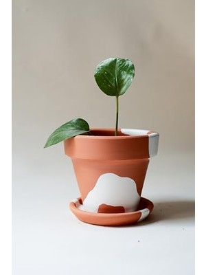 Aesco Terracotta Konik Saksı+Tabak • Bohem Beyaz (Orta)