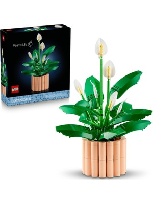 Nacario LEGO Botanicals Barış Çiçeği 11504 - Yetişkin Kadınlar ve Erkekler Için Farklı Aşamalarda 6 Barış Çiçeği Içeren Sevgililer Günü'ne Özel Koleksiyonluk Dekoratif Model Yapım Seti (474 Parça)
