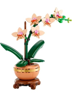 TeknoKapsül LEGO Botanicals Mini Orkide 10343 - Yetişkinler Için Dekoratif Çiçek Yapım Seti (274 Parça)