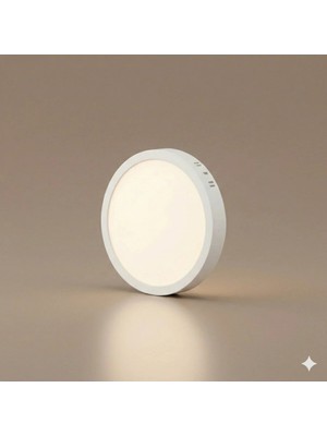 Yurdugül 24W Sıva Üstü Yuvarlak LED Panel 6500K Beyaz Işık 2160 Lümen Modern Tavan Armatürü