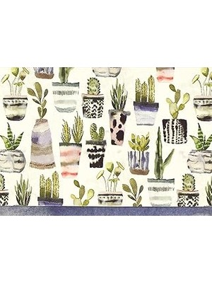 Nacario Note Card Watercolor Succulents