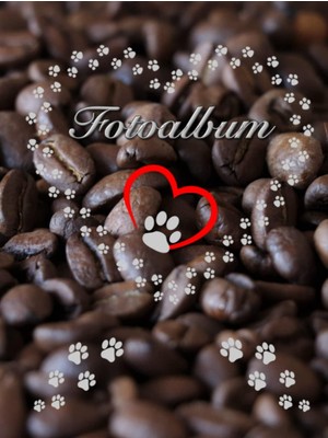 Nacario Fotoalbum Für Hunde Katzen Haustiere Geschenkidee Hundeliebhaber Katzenliebhaber Züchterbuch Hundeverein Katzenverein Photo Album Foto Tagebuch Welpen ... Fellnasen Kaffee 01 (German Edition)