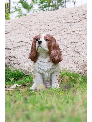 Nacario Hi-Line Gift 87803-C Kahverengi/beyaz Kral Charles Spaniel Oturan Heykel