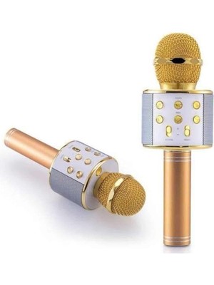Karaoke Mikrofon Dahili Hoparlörlü Sd-Usb-Aux Girişli Bluetooth Hoparlör