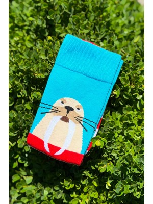 Lou Socks Unisex Deniz Aslanı Desenli Renkli Soket Çorap