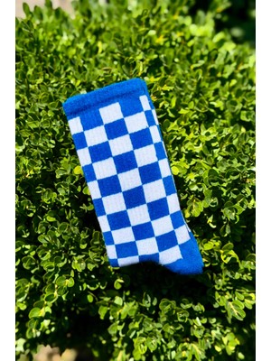 Lou Socks Unisex Mavi Dama Desenli Renkli Soket Çorap