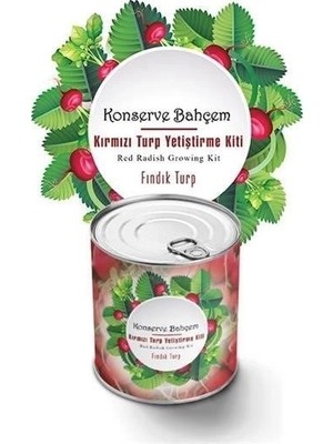 BYZM Konserve Bahçem Evde Konservede Fındık Turp Yetiştirme Kiti