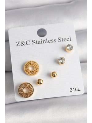 BYZM 316L Çelik Gold Renk Zirkon Taşı Labirent Model Kadın Küpe Seti