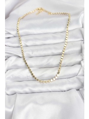 Aesco 316L Çelik Zincir Gold Renk Ezme Zincir Model  45 cm Kadın Kolye - Lisinya