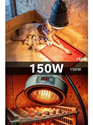 Aesco 150W Kızılötesi (Infrared) Isıtıcılı Hayvan Isıtma ve Kuluçka Lambası (Kırmızı Işık) E27 (Kalın Duy) ( Lisinya )