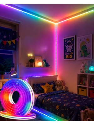 Aesco 16 Milyon Renk Rgb Neon Şerit LED Iç ve Dış Mekan Dekor Işığı