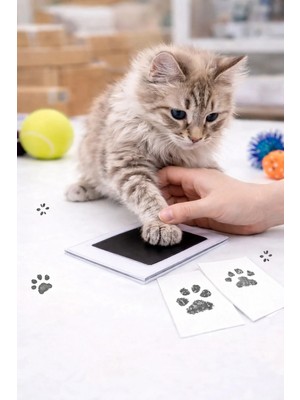 Kedi & Köpek Pati Izi Çıkarma Aparatı | Pati Baskı Pedi + Kart | Hatıra Seti